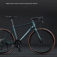 Sepeda Balap Dewasa Zhui Feng W174 700C Grosir, 21-Speed Rem Cakram Rangka Baja