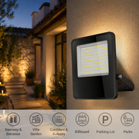 OUTLUX E017 100W Reflector de Alta Calidad para Estadios, Negro, IP65 Impermeable, Reflector LED para Exteriores
