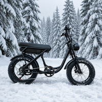 Vélo électrique hybride tout-terrain 500W 48V 20Ah en promotion directe usine Chine / Stock disponible depuis les entrepôts locaux NL, AU, IT, FR - Vente en gros