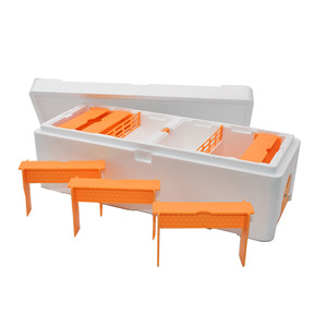 Nouvelle boîte d'accouplement et d'élevage EPS pour deux reines, en mousse, ruche en plastique pour abeilles - Product Image 3