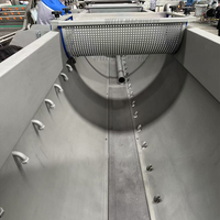 Continue vortex wasmachine voor het reinigen van kool, salade en groenten