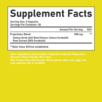 Best-seller : Capsules de perte de poids à force maximale avec mélange exclusif de Forskolin, favorisant des niveaux d'énergie plus élevés