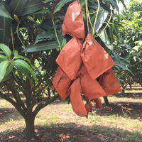 Hoogwaardige milieuvriendelijke Changling fruitbeschermende zakken, wasbehandeld papier, mango-specifieke meshandvatdraadondersteuning, op maat gemaakt