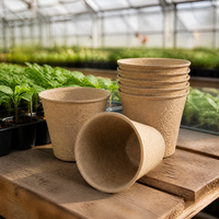 Biologisch afbreekbare pulp zaadstarters, milieuvriendelijke papierpulp voor het kweken van groenten en fruit in de tuin.