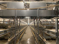 Nouvelle cage à poulets à 4 niveaux de type H, en acier galvanisé à chaud, équipement d'élevage avicole à haute productivité pour l'Afrique