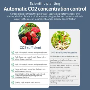 Sera bitkileri için AGc30 karbon dioksit denetleyici çift kanallı otomatik CO2 konsantrasyon kontrolü
