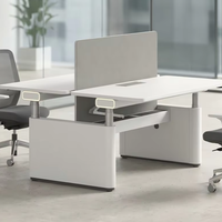 Bureau de travail ergonomique pour 2 personnes, réglable en hauteur, électrique, avec cloison d'intimité et plateau pour câbles