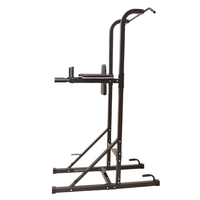 Tour de musculation multifonction réglable, rack pour haltères, station de dips, barre de traction, acier, entraînement sportif à domicile, divertissement