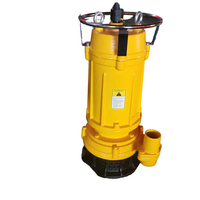 Pompes submersibles pour eaux usées LOONA 220v 380V WQ, haute pression, AC, robustes, 2 pouces, traitement des eaux usées, acier inoxydable