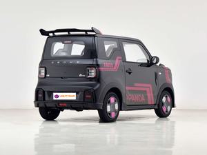 新エナジーミニカーGeely PANDAカートEVマイクロカー<span class=keywords><strong>2</strong></span>席左手ドライブスポーティミニカー中国トップベストセラー - Product Image 5
