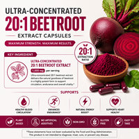Extrait de Betterave Ultra-Concentré 20:1 1000mg en Capsules – Soutien Bioactif Supérieur – Partenaire de Fabrication OEM en Gros