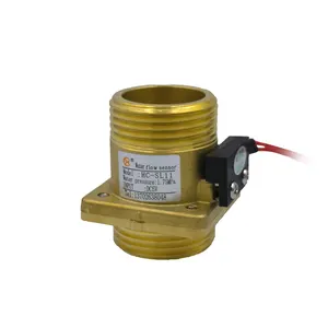 Interrupteurs de débit d'eau DN25 Interrupteur de contrôle du niveau d'eau liquide en laiton