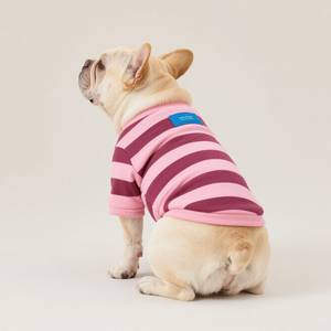 Joymay Boutique Pet Inglés <span class=keywords><strong>Bulldog</strong></span> Pug Ropa para perros Fabricantes Diseñador <span class=keywords><strong>de</strong></span> lujo 100% Algodón Mascota Perro Sudadera para <span class=keywords><strong>todas</strong></span> <span class=keywords><strong>las</strong></span> <span class=keywords><strong>razas</strong></span> - Product Image 2
