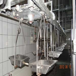 อุปกรณ์โรงฆ่าสัตว์สำหรับโรงเชือด<span class=keywords><strong>หมู</strong></span> - Product Image 3