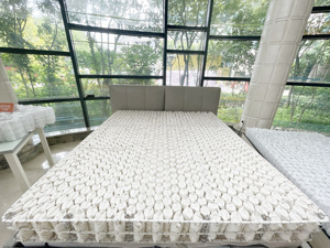 2,3 мм диаметр проволоки из углеродистой стали мини-карманный пружинный матрас без клея, мебель для спальни отеля, производство хлопка - Product Image 6