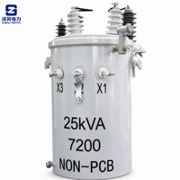 Fabrika Çıkışı 11kV 0.4kV Tek Fazlı Direk Tipi Trafo 5kVA-167kVA Özelleştirilmiş Kapasite Toptan Satış