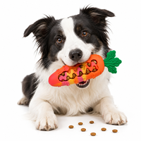 Jouet à mâcher couineur en silicone pour chien, distributeur de friandises en forme de carotte, pour le nettoyage dentaire et l'enrichissement interactif des chiots