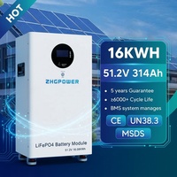 Batería LiFePO4 de 51.2V 314Ah 16kWh Compatible con Inversores Deye, 6000 Ciclos, BMS Inteligente, ESS Solar para Europa, Compatible con Enchufe Europeo