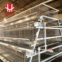 Cage à poulets automatique de type A à 3 niveaux avec alimentation, abreuvement, collecte des œufs, courroie à fumier, abreuvoir à tétine, galvanisée à chaud