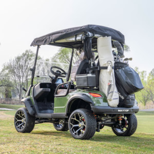 Produits les plus vendus : Chariot de golf motorisé biplace pour manoirs et centres de villégiature en zone rurale - Product Image 6