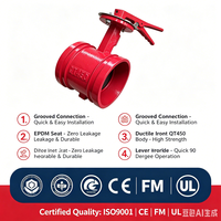 Vanne papillon rainurée pour système d'incendie à jet d'eau JIS 10K ANSI 150 #   BS pour OEM homologué FM, usage intensif