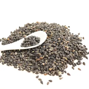 Healthy Food China Traditional Round Buckwheat Tea Tartary Buckwheat