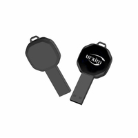 Flash Drive USB 2.0 Desain Lampu LED Logam Terbaru dengan Logo Kustom 4GB/8GB/16GB/32GB Bentuk Kunci Menyala