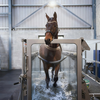 Tapis roulant aquatique pour chevaux