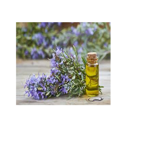 Aceite de Romero Natural, Aceite Vegetal Puro, Aceite Aromático Herbal Fresco para el Cuidado de la Piel y el Cabello, Aromaterapia y Uso Cosmético, Suministro al por Mayor - Product Image 2