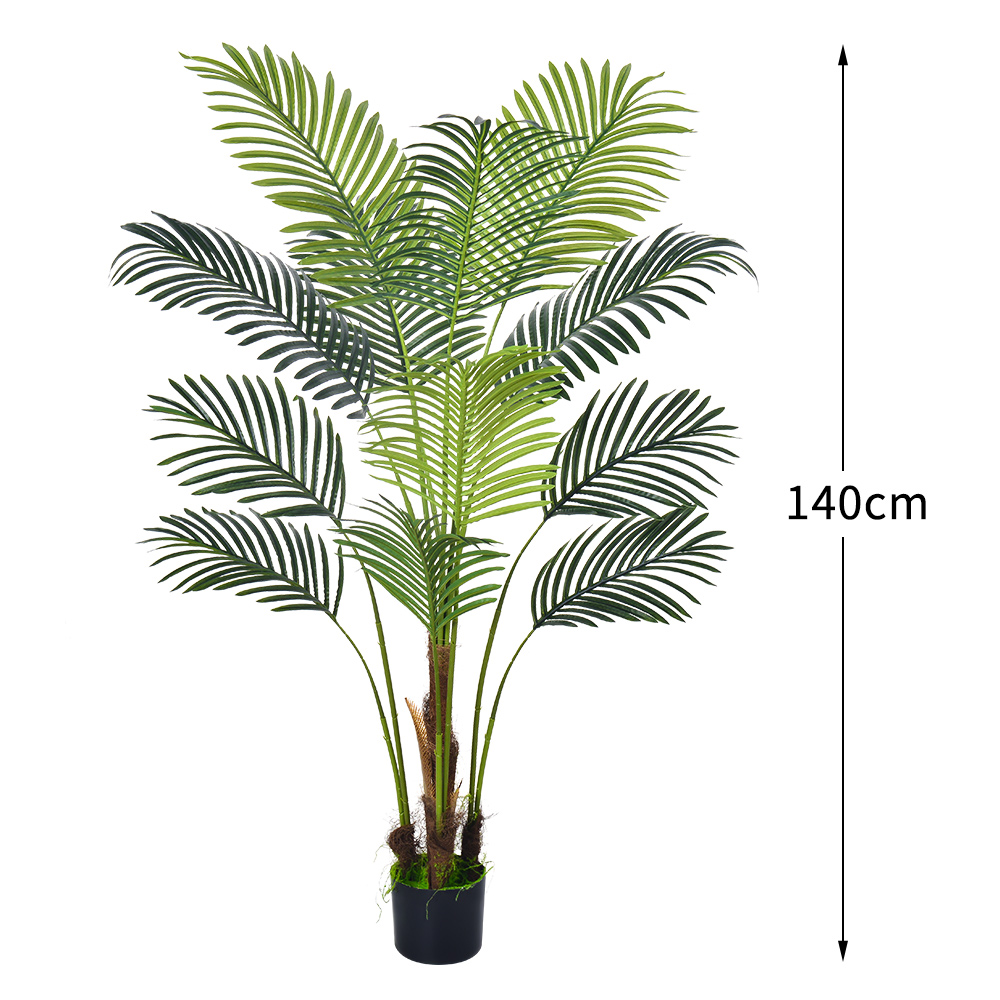 4.7ft/140cm Areca Palm-A