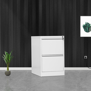 New design style Galvanized anti rust office vertical metal 2 drawer file cabinet