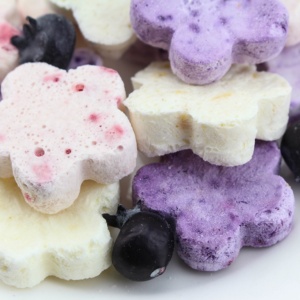 Cubos de yogur liofilizados personalizados en forma de flor para viajes, camping, senderismo, recetas sabrosas en embalaje de bolsa - Product Image 5