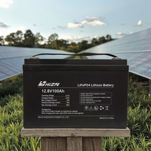 リチウム<span class=keywords><strong>24v</strong></span>充電式太陽エネルギー貯蔵パックLifepo4バッテリー12v 100ah電池 - Product Image 2