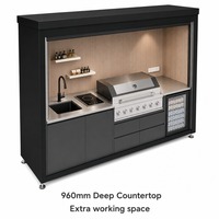 Ensemble de cuisine extérieure de luxe pour patio, armoire de cuisson modulaire résistante aux intempéries avec barbecue au gaz et au charbon, évier et hotte aspirante