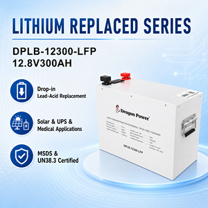 Batterie LiFePO4 DPLB-12300 LFP 12,8V 300Ah 3,84kWh 75A Nominal 150A de crête 6000 cycles Bluetooth UN38.3 MSDS - Product Image 1