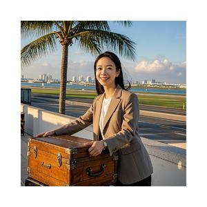 Aeroporto a aeroporto servizio di trasporto dalla cina al tacchino con le merci della batteria - Product Image 5