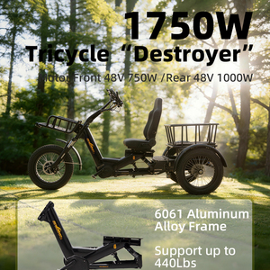 Tricycle électrique SOBOWO Destroyer pour les voyages en famille en plein air, vélo électrique à 3 roues avec panier de transport, tricycle de loisirs pour adultes - Product Image 2