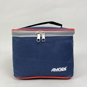 High Quality Lunch Box Kids Cooler Bag Leakproof Lunch Bag For Adult Unisex Insulated Cooler Corporate Lunch Bag