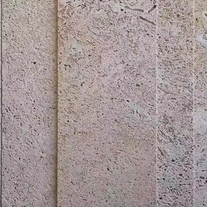 Agujeros <span class=keywords><strong>de</strong></span> piedra <span class=keywords><strong>de</strong></span> Coralstone natural sin relleno blanco crema Coral travertino <span class=keywords><strong>Coralina</strong></span> piedra losas azulejos Panel <span class=keywords><strong>de</strong></span> pared - Product Image 3