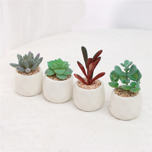 Juego de 4 Plantas Suculentas Artificiales Duraderas en Maceta de Cerámica Blanca para Decoración de Escritorio, Uso Interior/Exterior, Greatflower, MOQ Bajo - Product Image 2