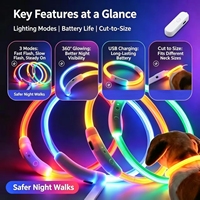 Collier laser lumineux pour chien avec éclairage LED rechargeable par USB et anneau de cou durable, design moderne, doux et mignon