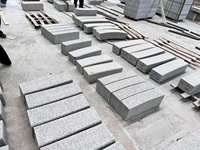 Dalles et marches en granit gris Bianco Sardo naturel de Chine, prix d'usine, tailles personnalisées
