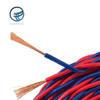 Hochwertige 2,5mm PVC-Elektrokabel 2-adrig Hitzebeständiges Verdrilltes Paar Feuerfestes Kabel Modell RVS Kupferleiter AWG18