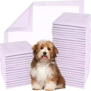 Cartoon Style Biodegradable Puppy Potty Training Diapers Absorbent Wool Bamboo Material Breathable Pee Pads Disposable Pet Pads - Product Image 1
