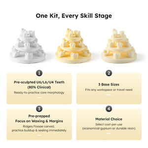 Yeso Dental/Material de resina Modelo de práctica de morfología dental Prueba de estudiante Modelo de práctica de cera por goteo - Product Image 5
