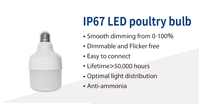 Ampoules LED professionnelles Hontech-Wins pour élevages avicoles, IP67, sans scintillement, 2700K-6500K, angle de faisceau 300°, dimmables, CRI élevé 85, garantie 3 ans