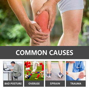 Seri perawatan sendi Venom Bee nyeri sendi dan lutut serviks bahu bantuan kualitas tinggi - Product Image 3