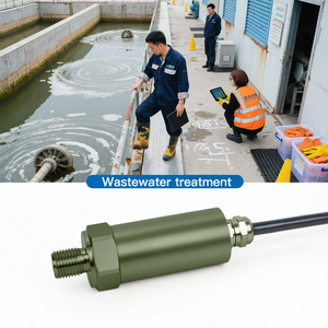 Capteur de pression GAMICOS GPT200S, précision de 0,5 %, IP67, 316L, silicium diffusé pour la mesure de l'air - Product Image 2