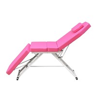 Table de massage SPA portable et pliable, table de soin du visage pour salon de beauté