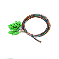 Factory Direct Price 12-Core 0.9mm SC/APC Single Mode Fibre Bundle Pigtail 1M Available Fibre Optic Patch Cord